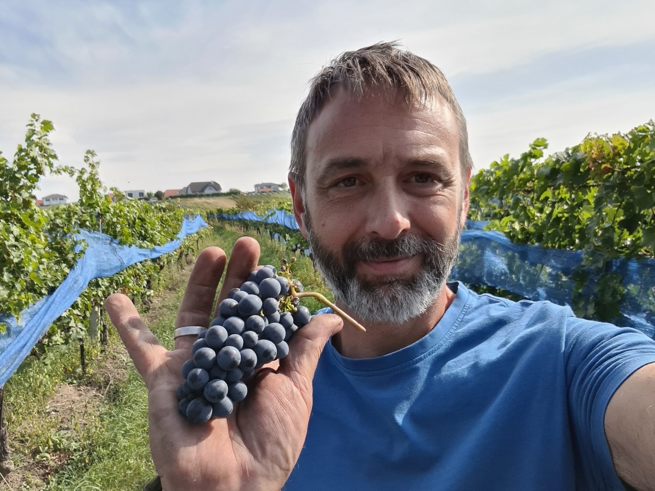 Weingut Feiler-Artinger Rust Weingut Feiler-Artinger Rust